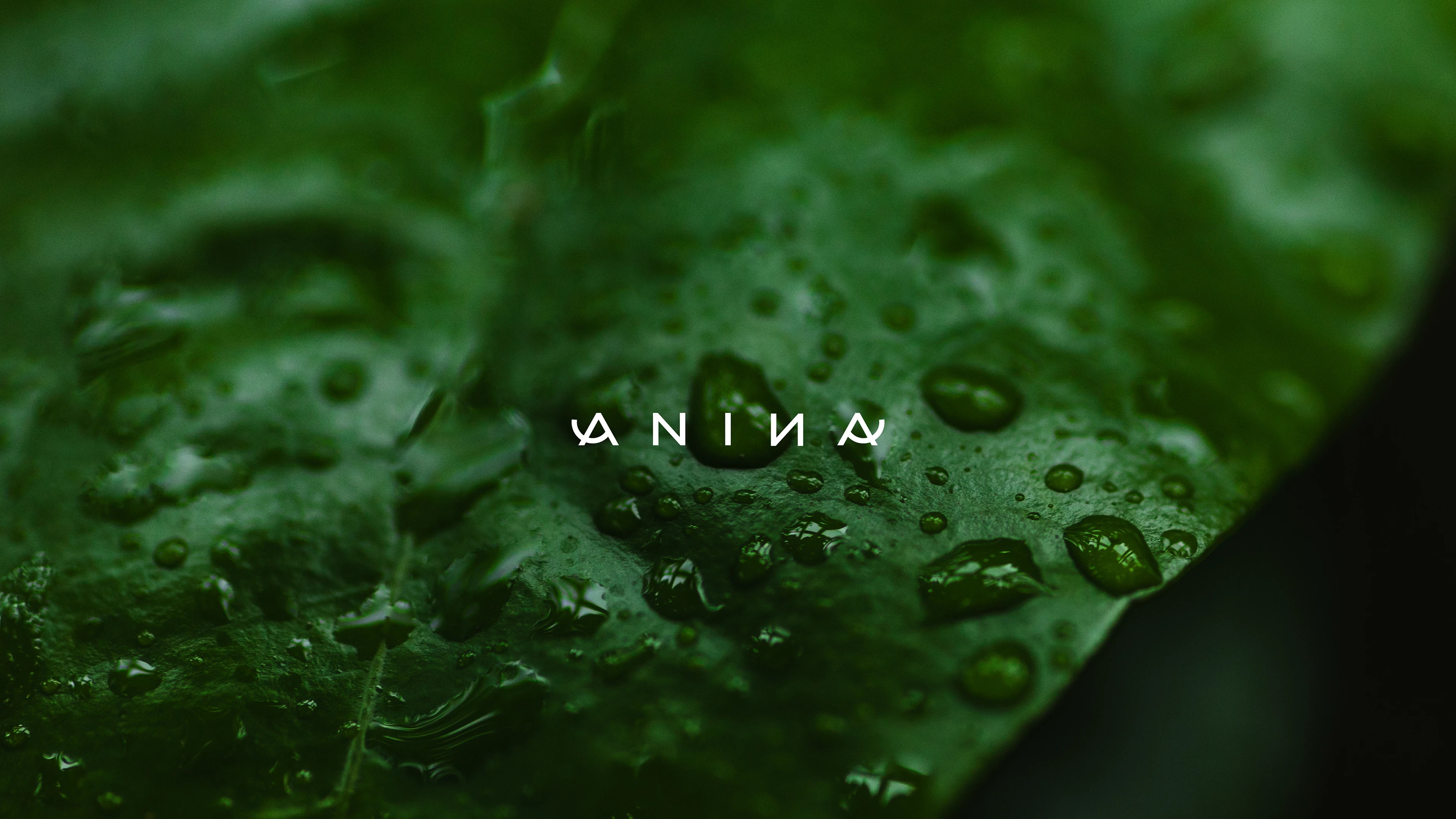 Anina 