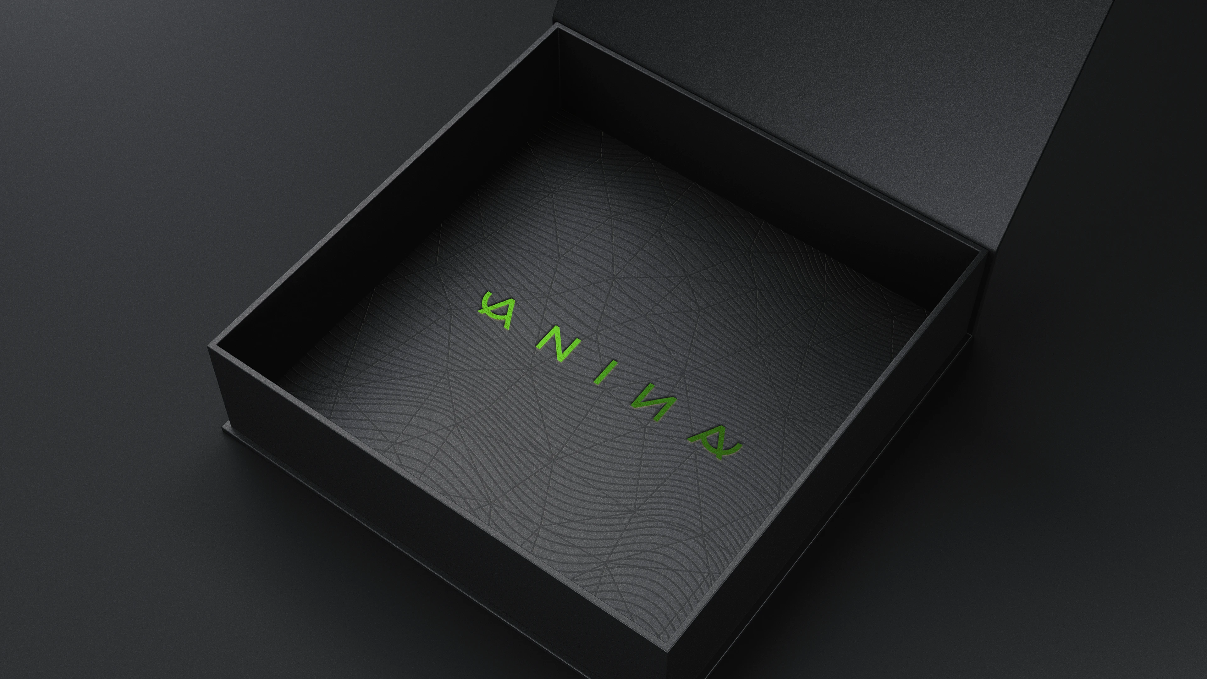 Anina  — image 5